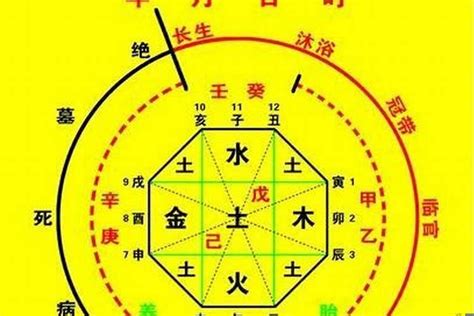 喜用神是什麼|【喜用神是什麼】點一下，解開你的八字密碼：你的喜用神是什。